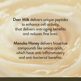 Skin Rehab